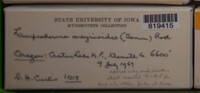 Image Associated With the Occurence